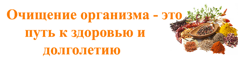 Очищение организма от шлаков и токсинов