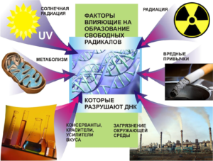 Свободные радикалы, что это такое в организме человека простыми словами