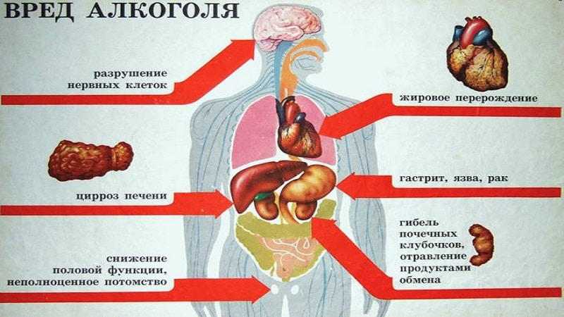 жуткий вред любого алкоголя