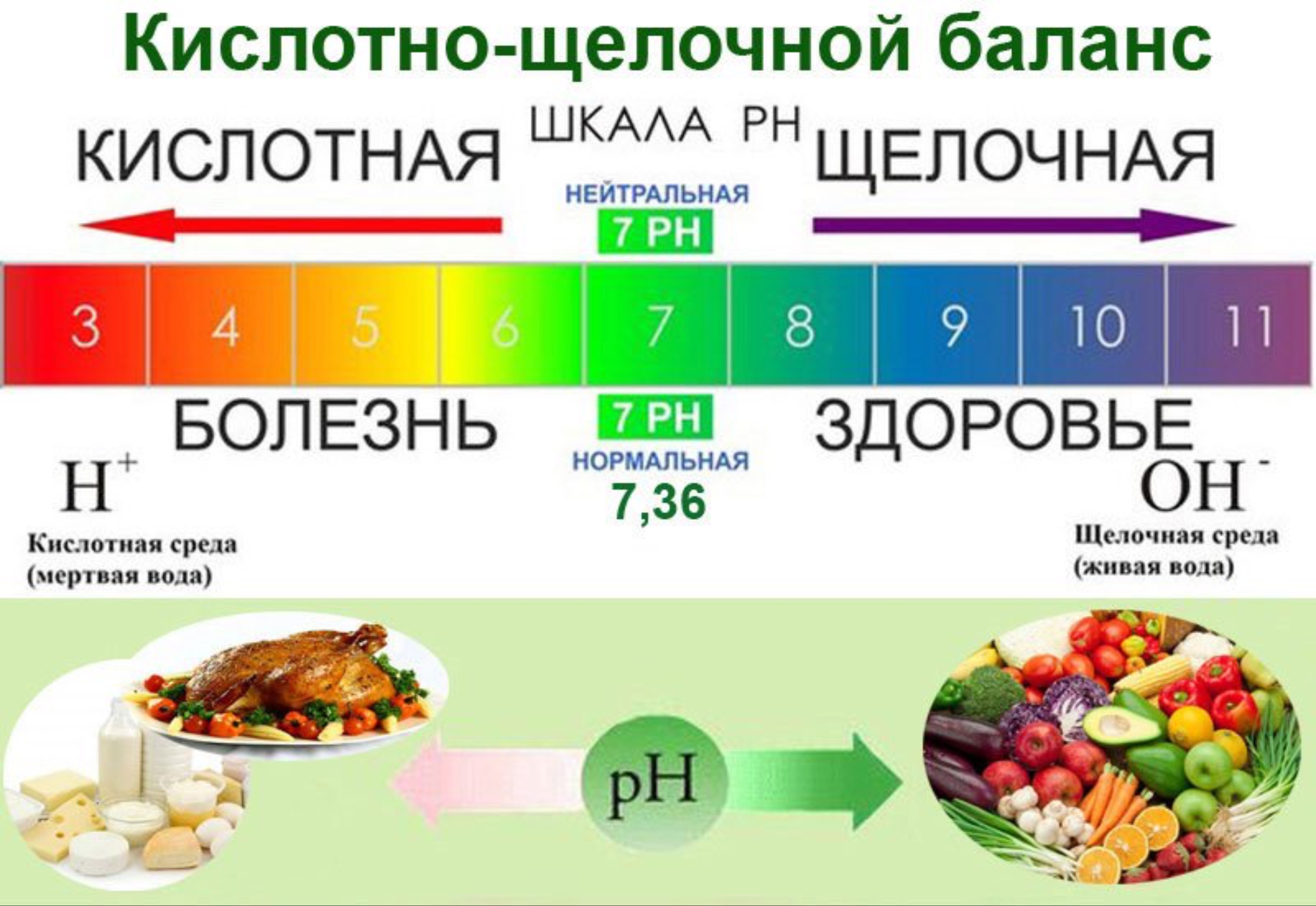 Кислотно — щелочной баланс — дорога к идеальному весу и крепкому здоровью